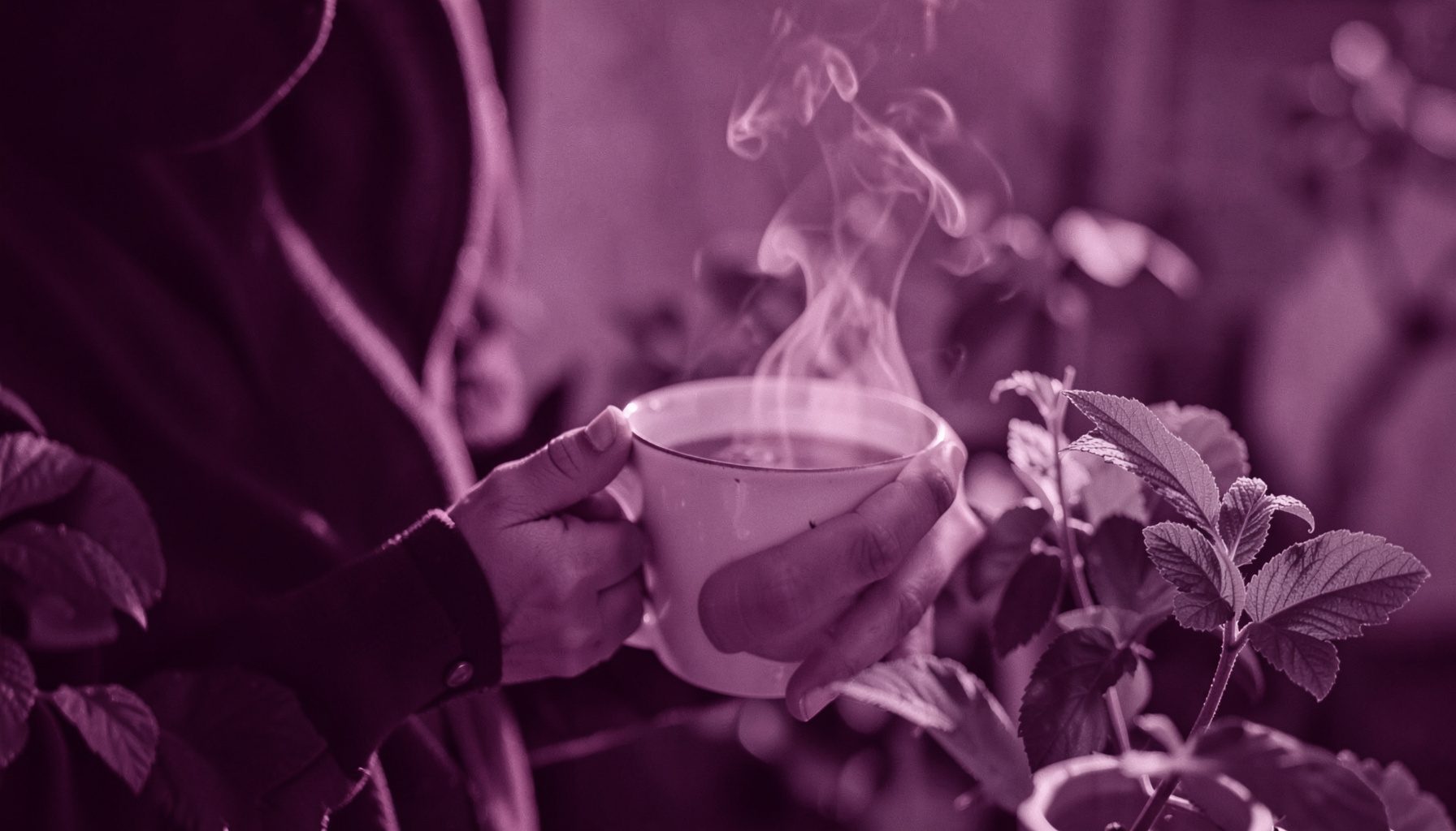 Mano sosteniendo una taza de infusión humeante junto a hojas verdes frescas, atmósfera tranquila y matinal.